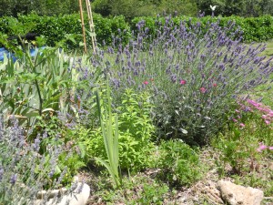 Jardin extraordinaire