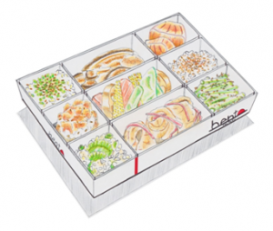 bento-box-open